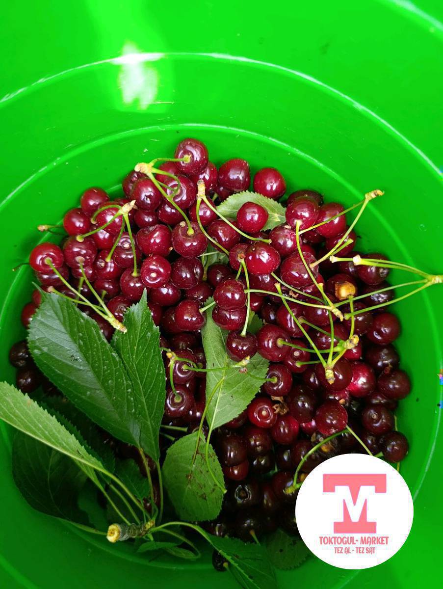 Черешня майдасы  1 кг. 80 сомго беребиз. 1 кг. 50 сомдон да бар.