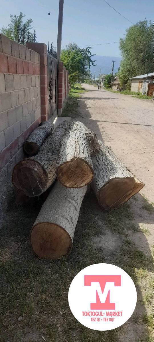 жангак сатылат