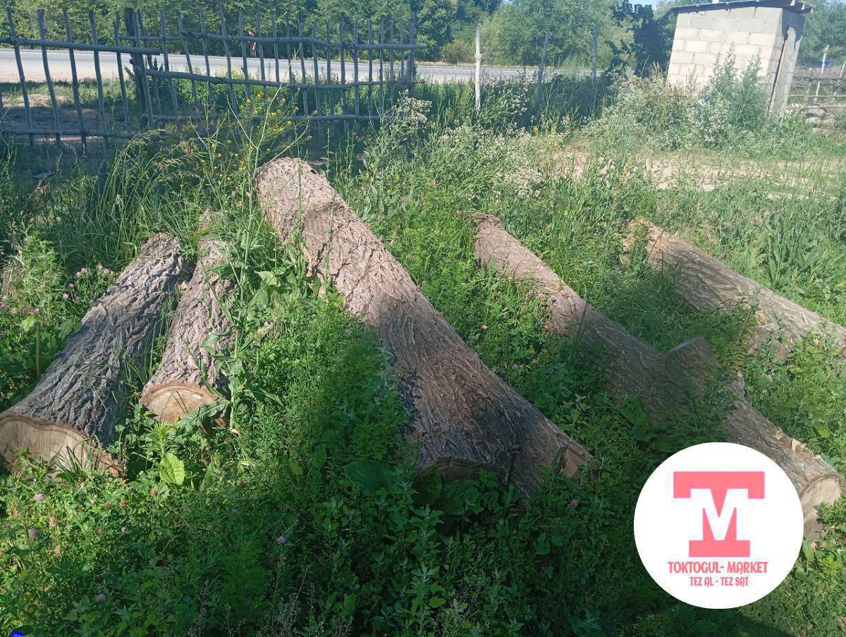 ушул кара тал сатылат