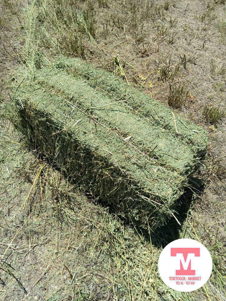 157 шт беде кип 250 сомдон сатылат,таза жаандан кийин пресстелди соодасы бар,Көтөрмөдө (кыргоо).