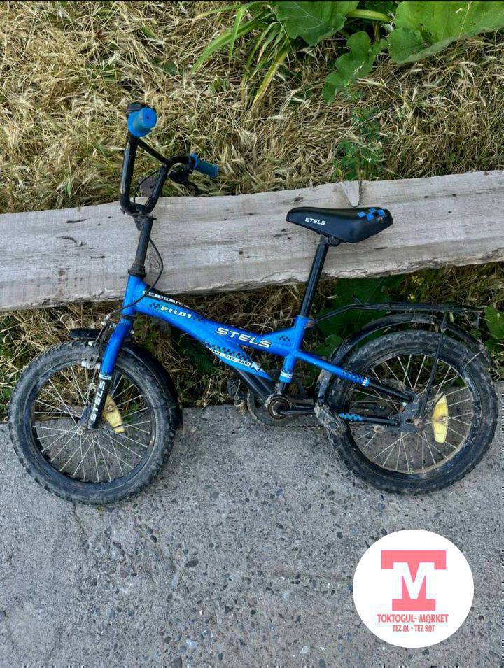 Белесвет алабыз 5 7 жаштарга