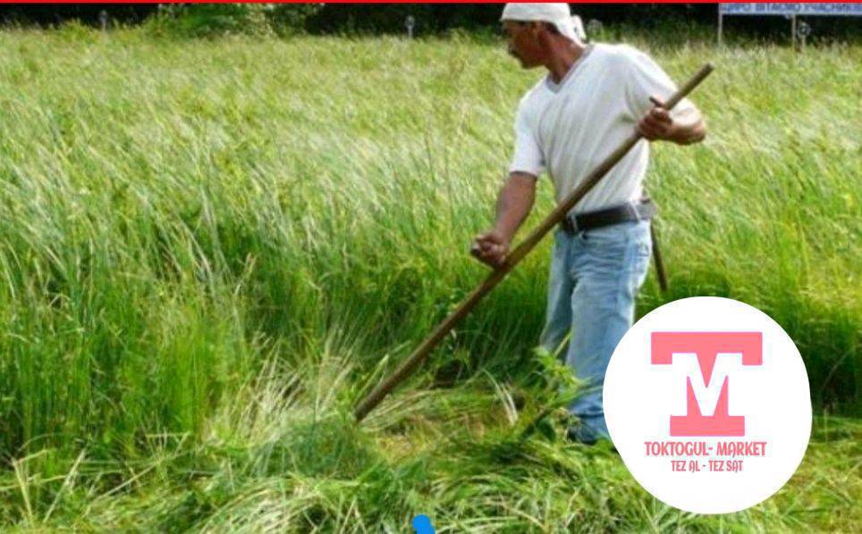 80 сотук, короонун  ичиндеги чопту  чапканга, балдар  керек. Акысы  келишим баада.
0707126612 чалыныздар