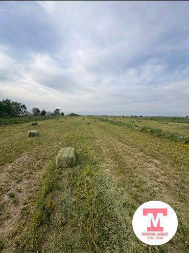 220 пресс Беде  сатылыт Кара сууд
аа
