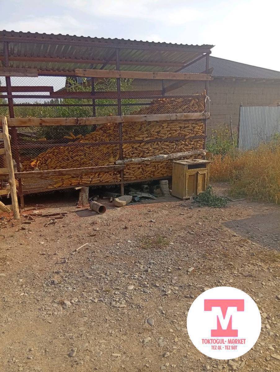 Ассаламу алекум жугору сатылат месний 1тонадай 35сомдон