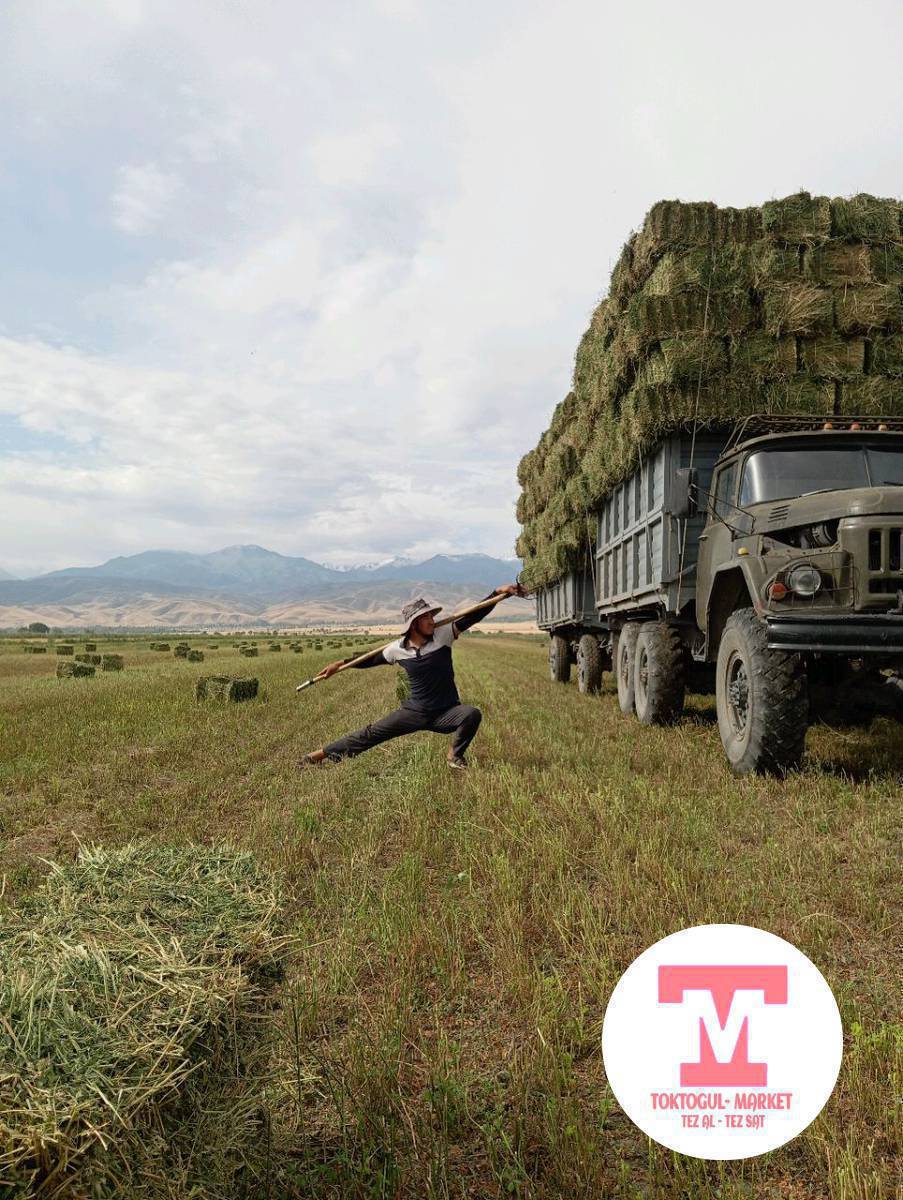 Кип жуктогонго балдар бар машина дагы бар