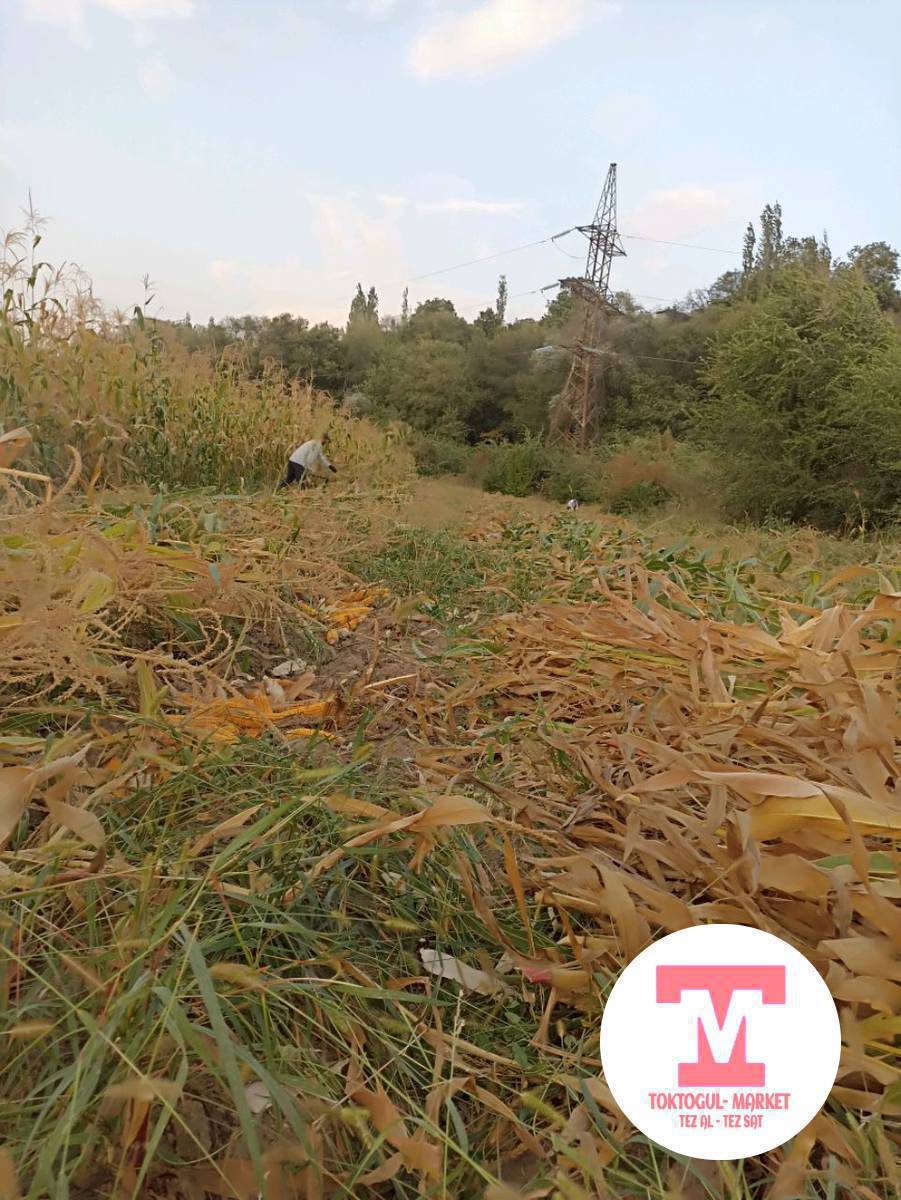 Балбан таштан  боолонгон  пайда сатылат баасы  90
