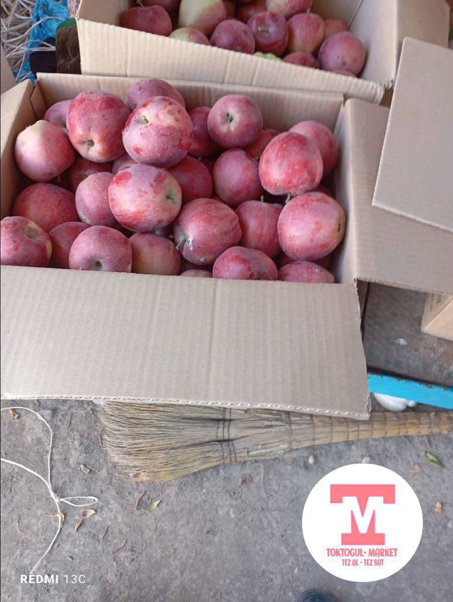 алма сатылат, жаңы тирилди