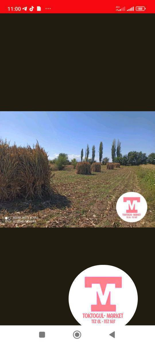 Пая сатылат Кара Сууда жакшы пая. 200боо 60 сомдон.