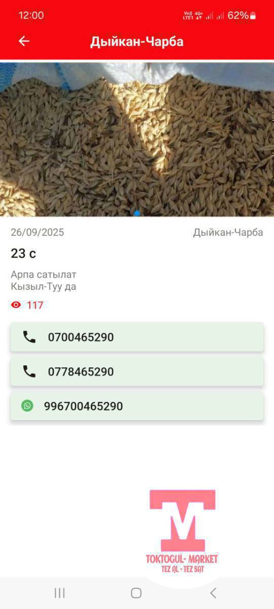 арпа сатылат