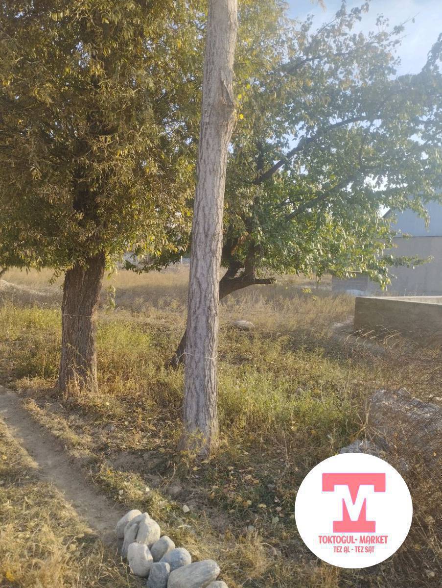 Бир туп Терек сатылат