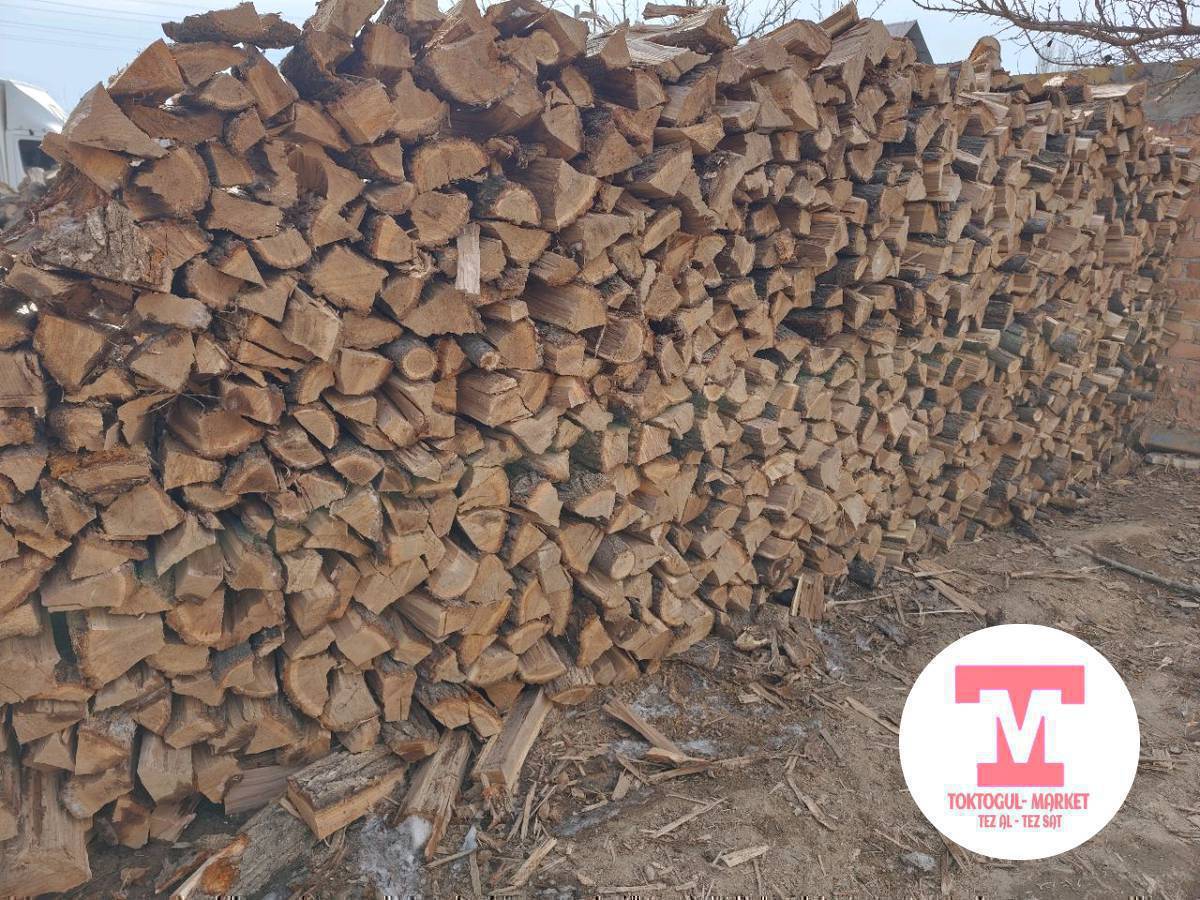 ОТУН САТЫЛАТ. ЧОҢ каптарда.Жалаң кургак КАРАЖЫГАЧ ОТУН.Токтогулда базарга жакын жерде .керек болсо чалыңыздар.