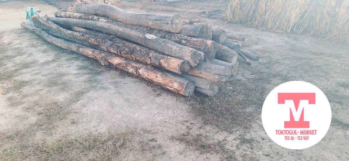 Кургак отун сатылат арасында жарайтурган бир салар бар