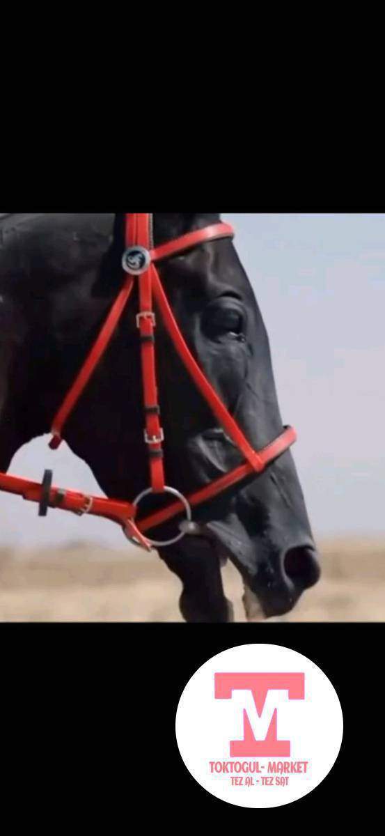 АССАЛАМУ АЛЕЙКУМ ЖАМААТ 
КЫЗЫЛ ДЫЙКАНДАН 
ТЕРЕК СУУ,  ЧОҢ  АРЫК, АКТЕКТИР АЙЫЛДАРЫНА КЕТЕ ТУРГАН  ЧОҢ МАШИНА БОЛС
1  АТ БАР ЖҮКТӨГӨНГӨ
БҮГҮН ЖЕ ЭРТЕҢКИГЕ