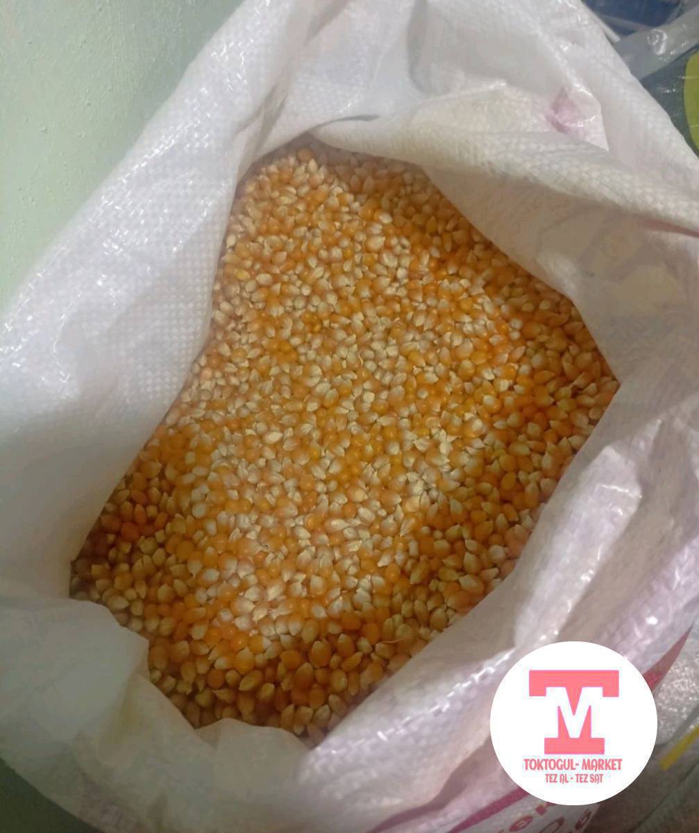 таза кургак жүгөрү сатылат 24 сом ул тынчтык 74 0700040443