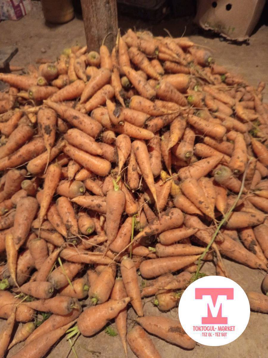 сабиз сатылат свежий казылды дары жээген эмес