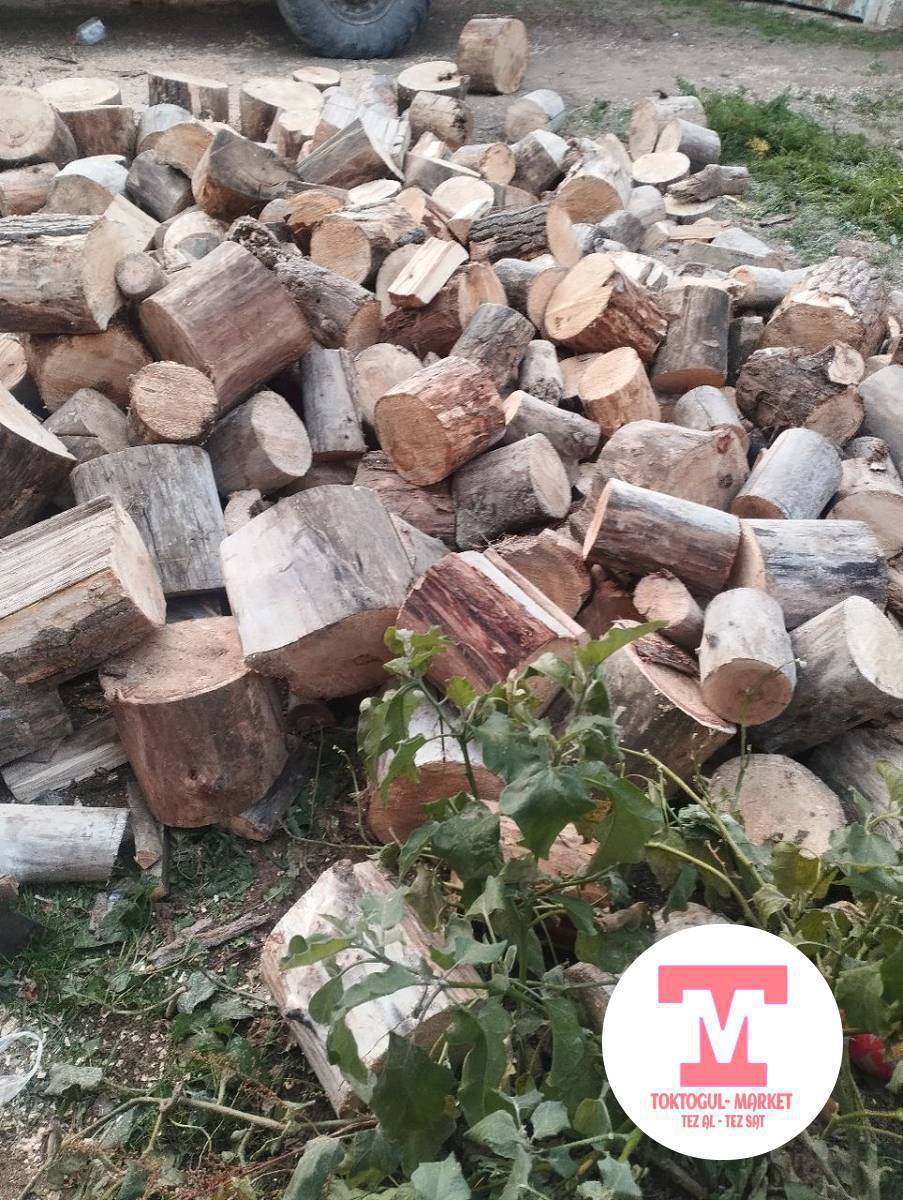 отун жарыш керек