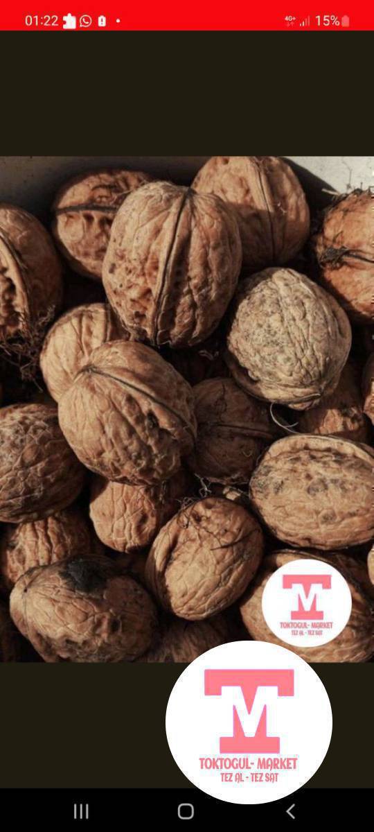 жангак алабыз