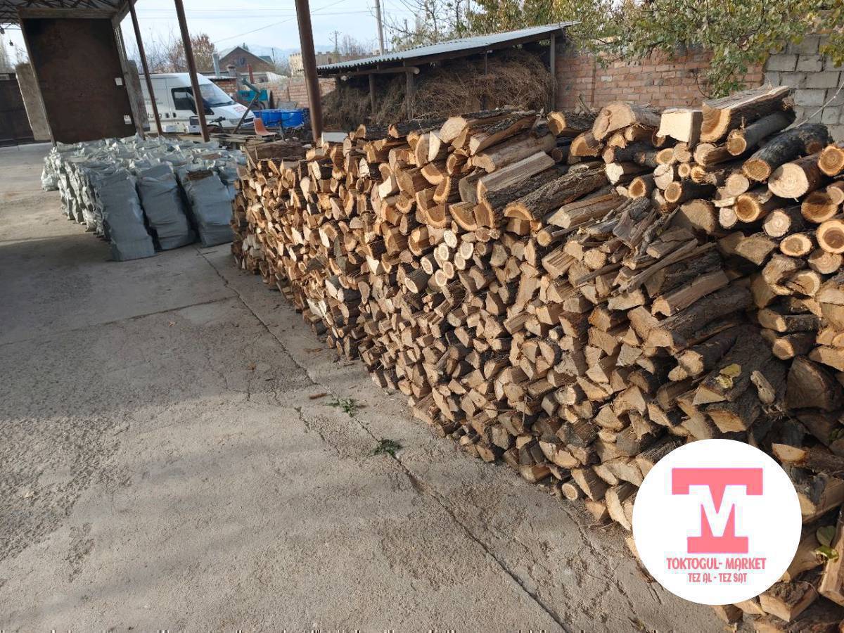 ОТУН САТЫЛАТ. ЖАЛАҢ КУРГАК КАРАЖЫГАЧ.ЧОҢ КАПТАРДА.ТОКТОГУЛДА БАЗАР ЖАКТА.КЕРЕК БОЛСО ЧАЛЫҢЫЗДАР