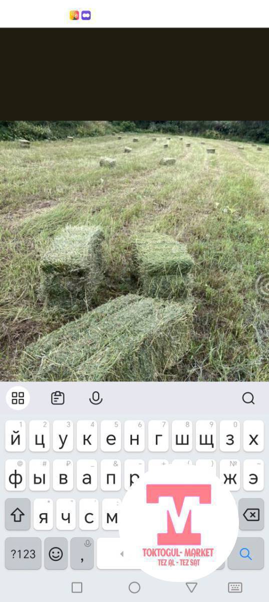 беде прес 80 Кип 120 Кип Арпа башы менен Чончон киптелген беде 450 Арпа башы менен 350