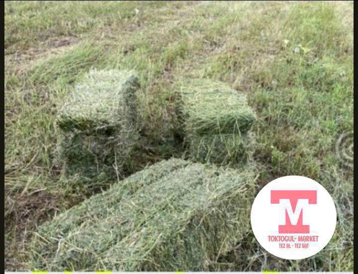 Беде прес сатылат киптери чон