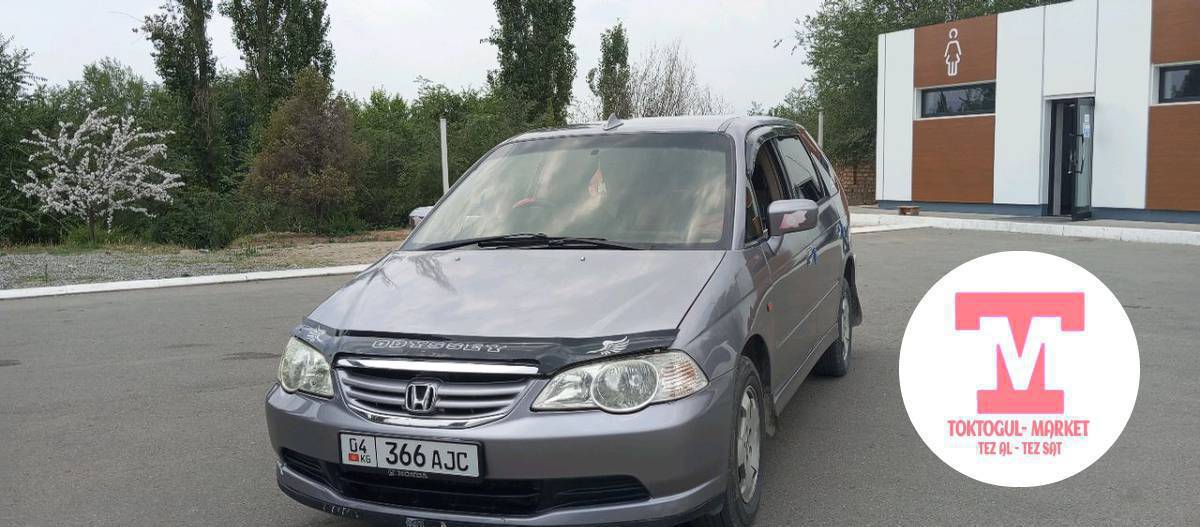 Одиссей ээсин издейт.Келишим баа.Абалы жакшы.