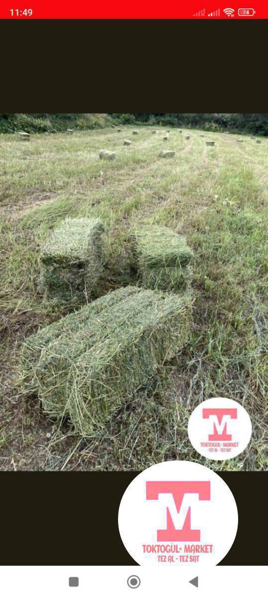 Кип сатылат Жыпромдо