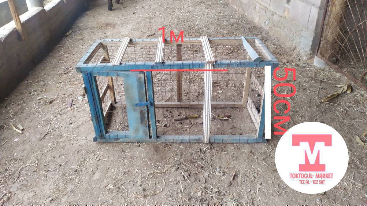 Срочно 🔥🔥🔥🔥🔥Ушул клеткалар сатылат экону 5500берем тоок,жожо дагы башка канаттуларды бакканга жакшы удобный 
Адрес кызылтуу 
0700466557