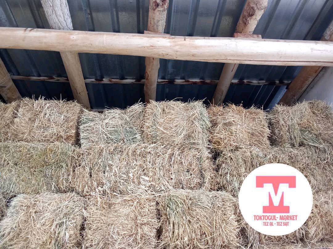 120 кип сатылат метровый чон