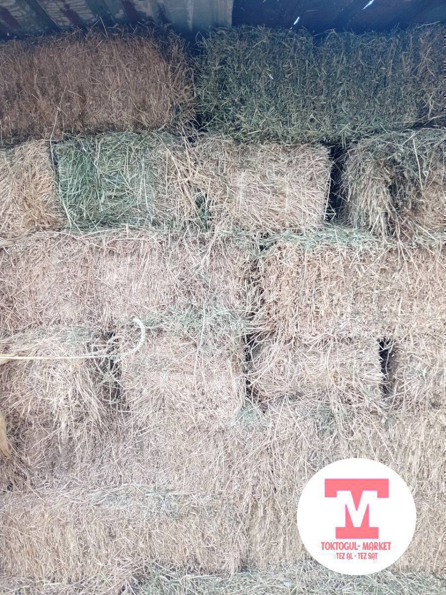 Беде сатылат
450 дон