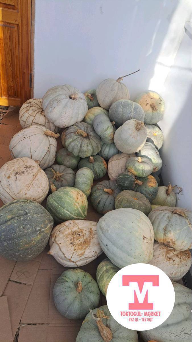 продаю тыкву.1кг 40сом