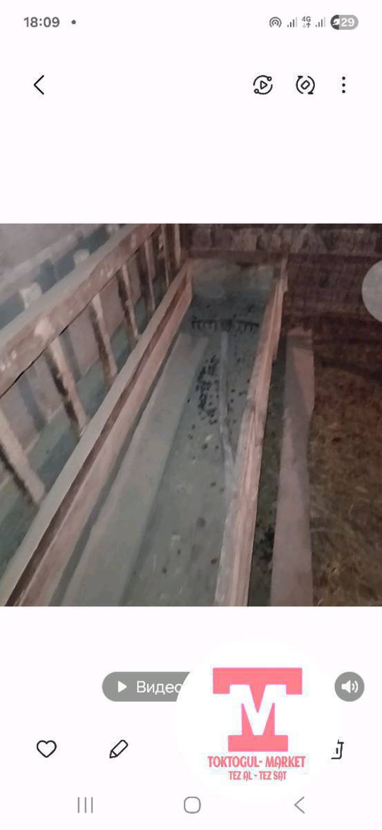 Ушул кой акыр сатылат узуну 4 метрден ашык чөп салган ичине прессти кыркпай салса болот турасы 40 см