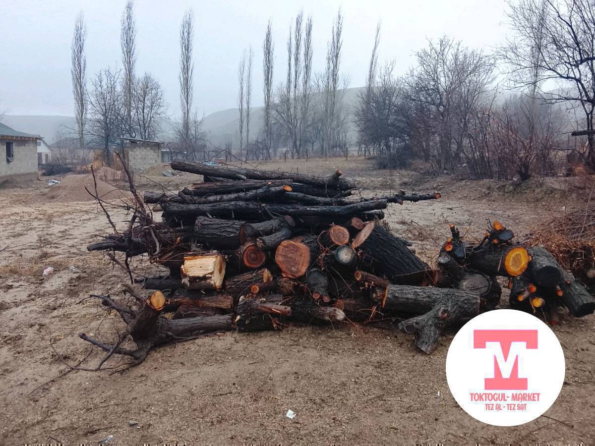 Ушул отун сатылат,Кызыл-тууда кудаке кочодо,Бир Портер чыгат.