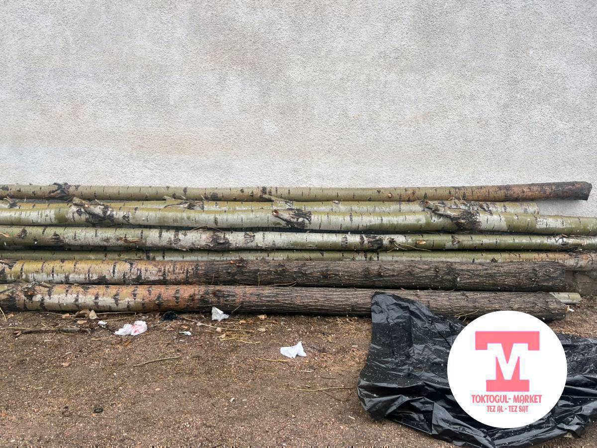 Ушул теректер сатылат келишим баада