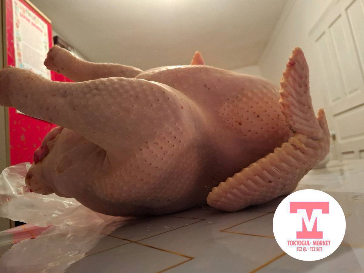 союлган үндүктөр сатылат килограмы 630сом