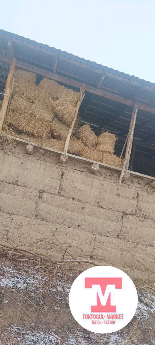 Таза беде кип сатылат