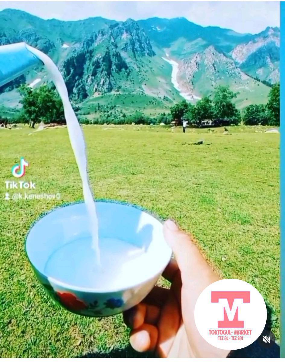 Таза бал кымыз сатылат. Банкага жабылган литри 450 дөн