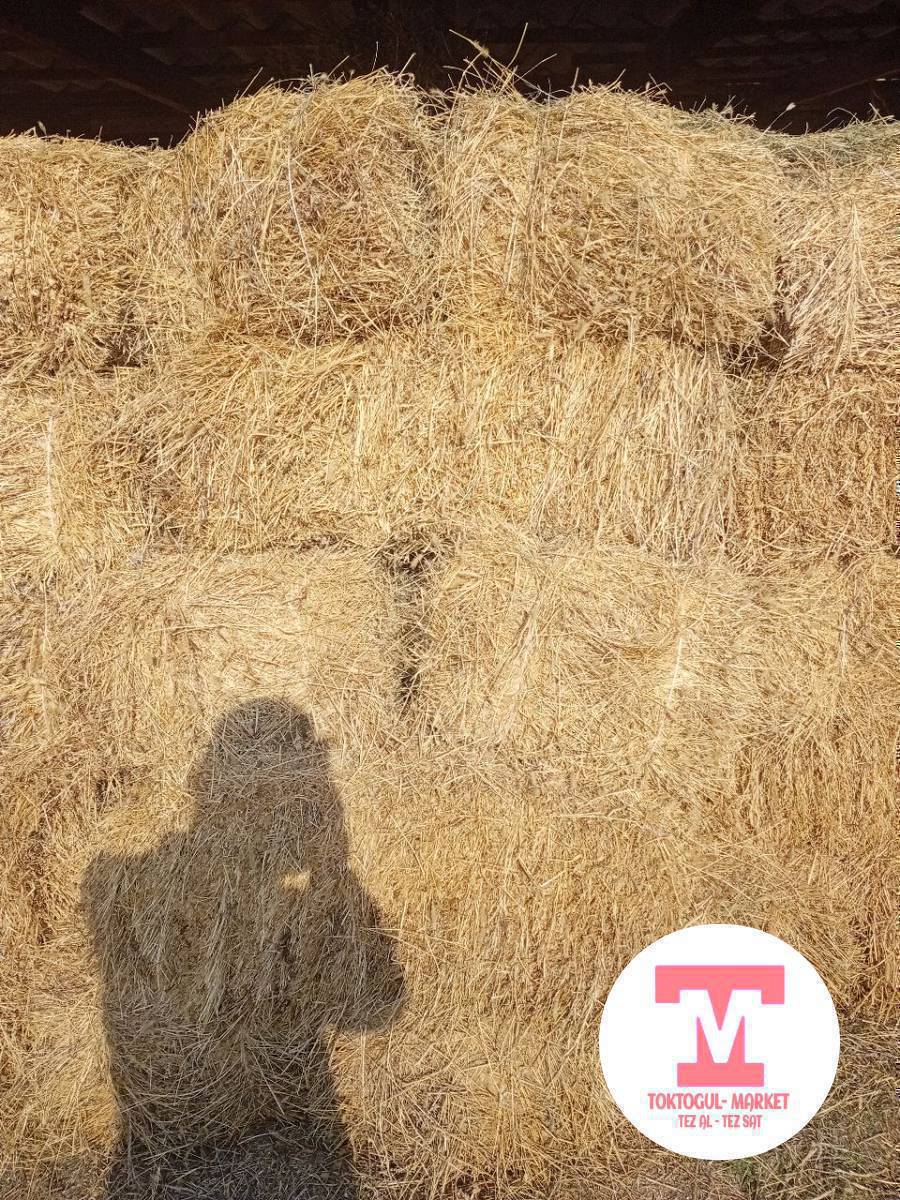 Беде сатылат жакшы пресстелген.