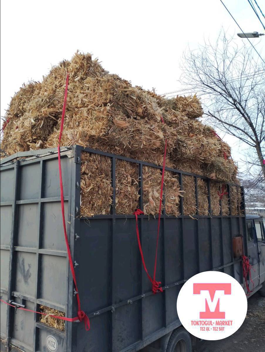 пая сатылат