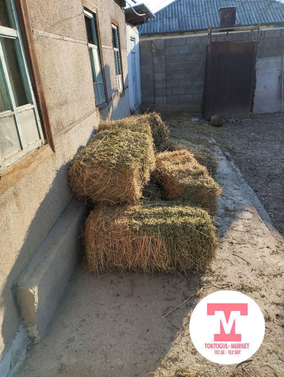 7штук пресс беде и 50 штук чоп беде боолонгон