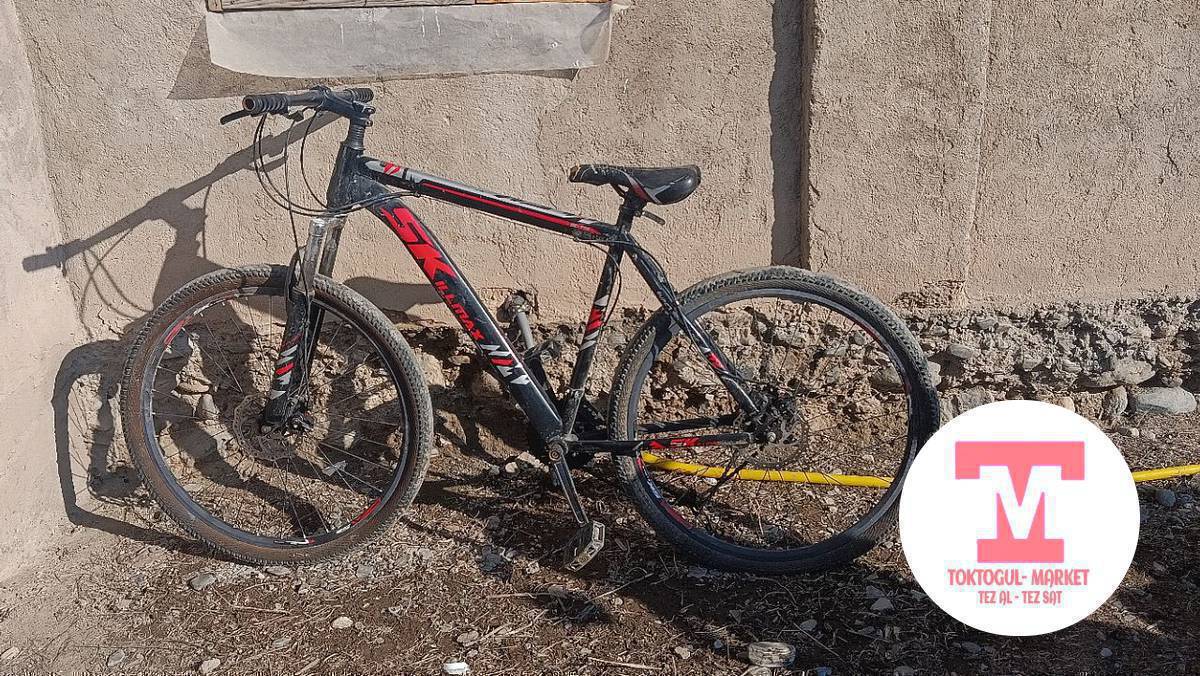 велик сатыла. адрес токтогулда баасы 3500 кеми бар