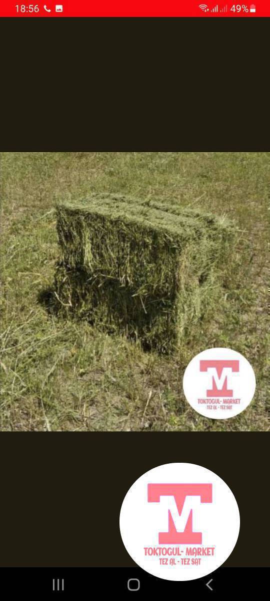 беде пресс 
 арпанын дааны 
таала чоп сатылат