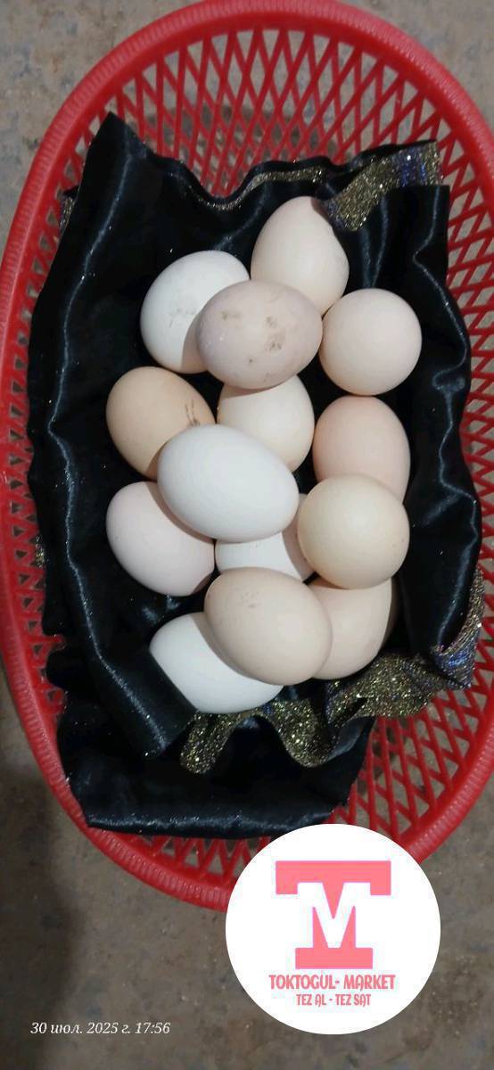 домашний жумуртка сатылат