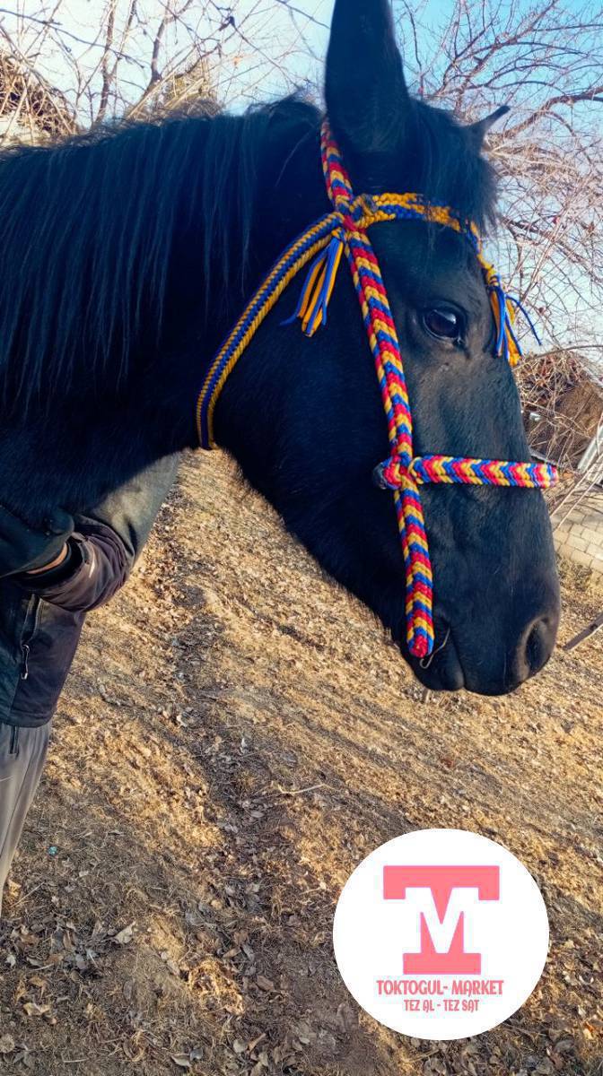 Ассаламу Алейкум ушундай жугондорго заказ алып оруп берем 2500 баштап 4500 сомго чейин