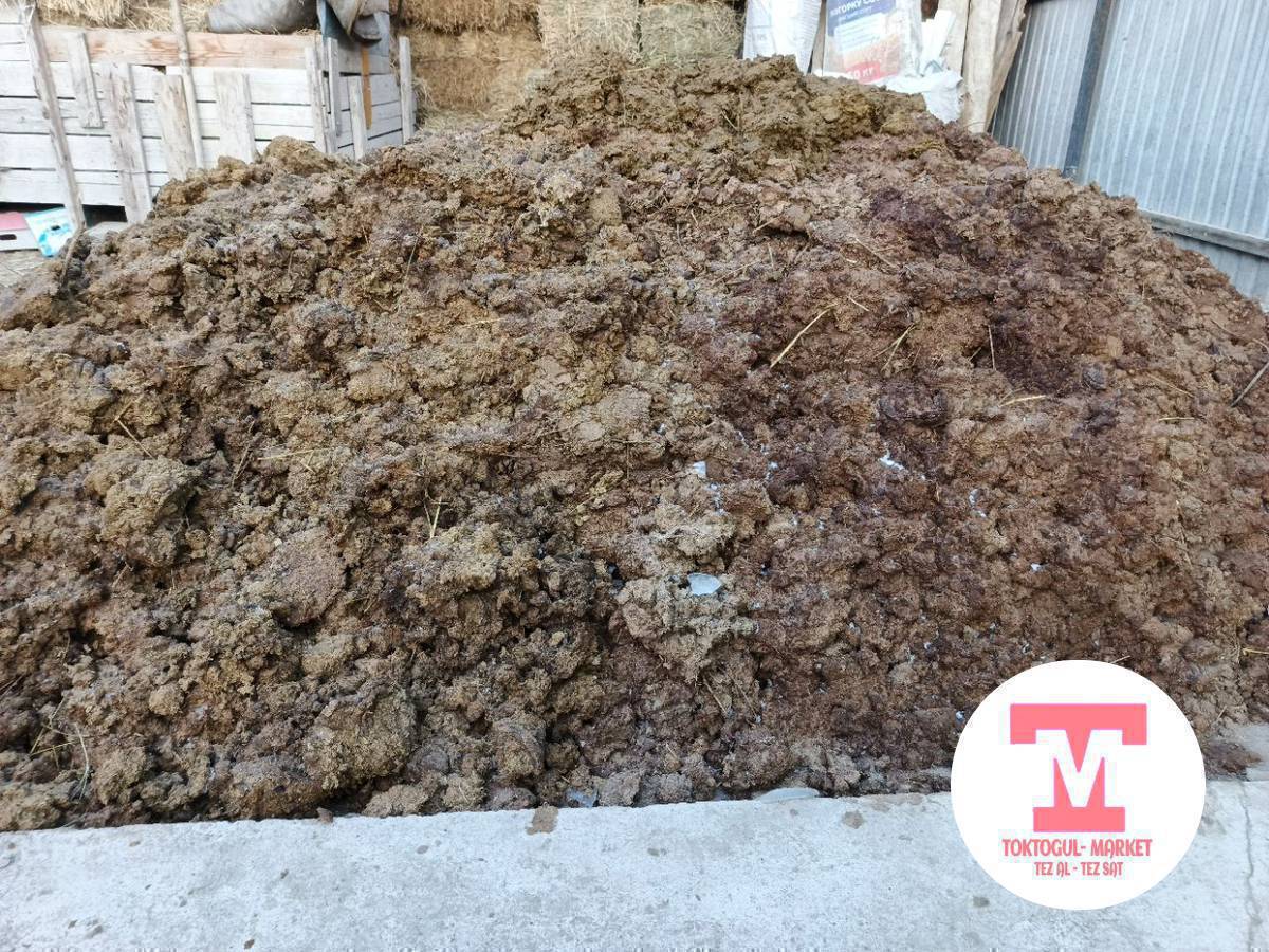 Уйдун кыгын бекер алыныздар..