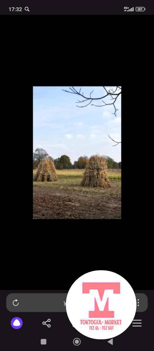 пая сатылат