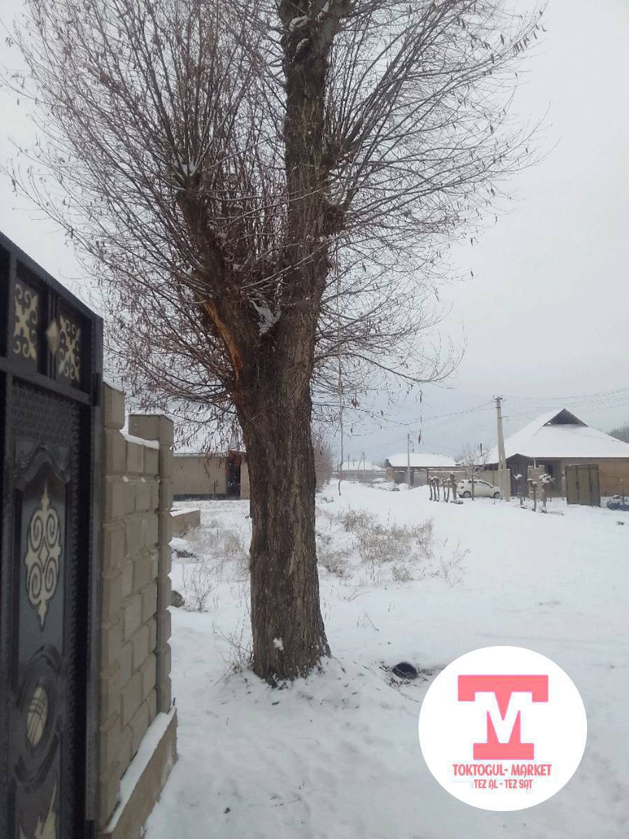 квартал сатылат отунга