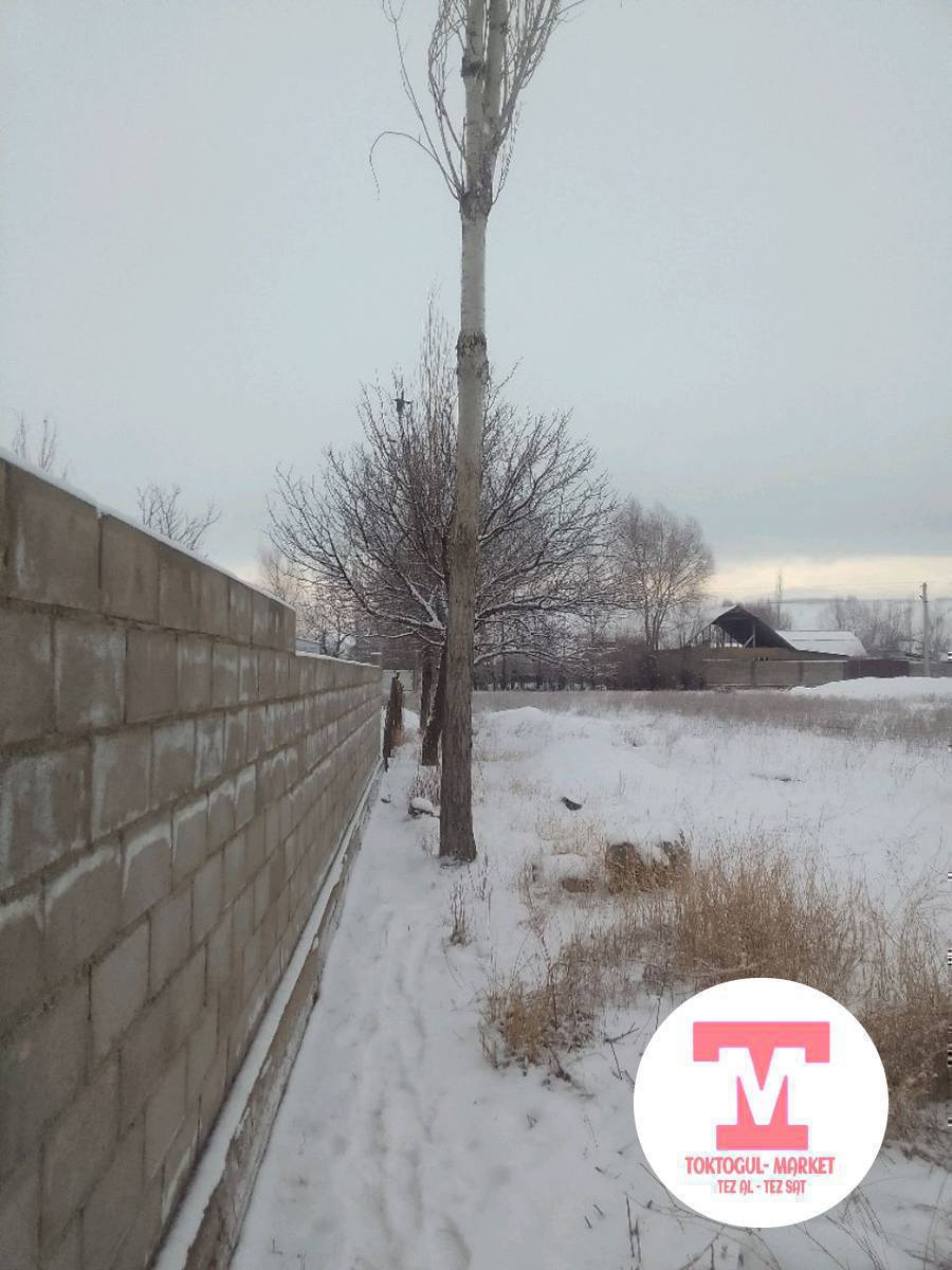 биртуп Терек сатылат кыйып алгыла