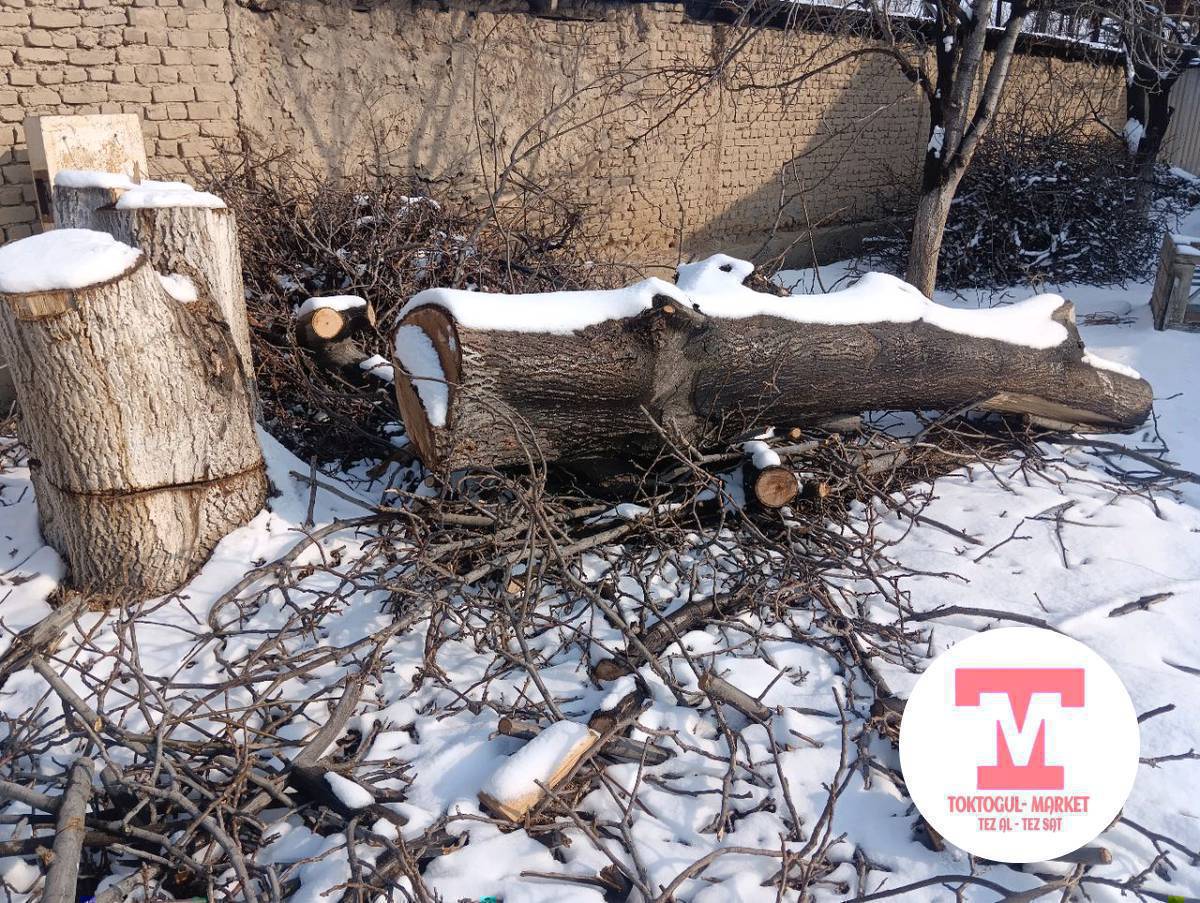 Жангак сатылат