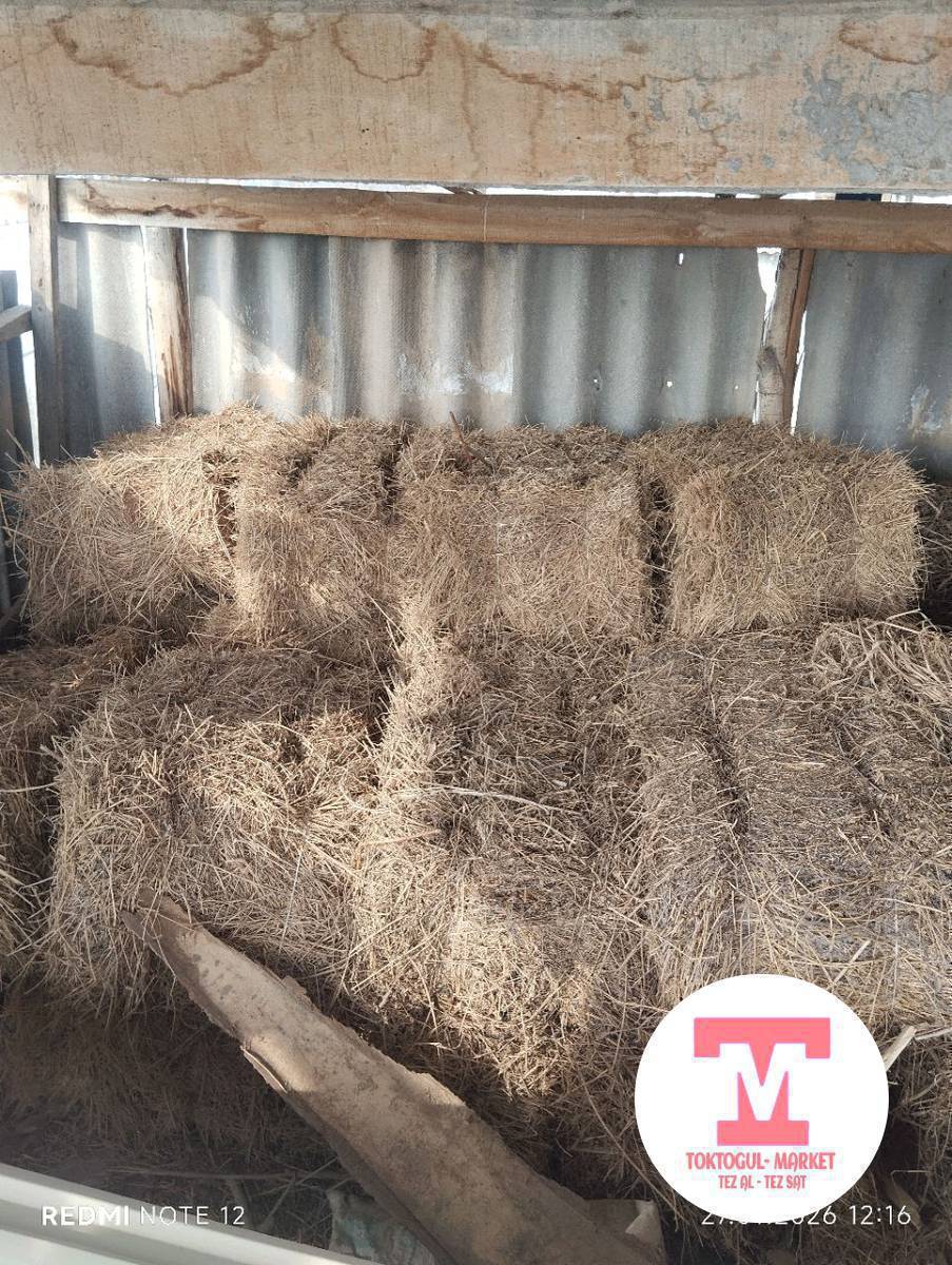 Беде чоп сатылат 20 кип бар