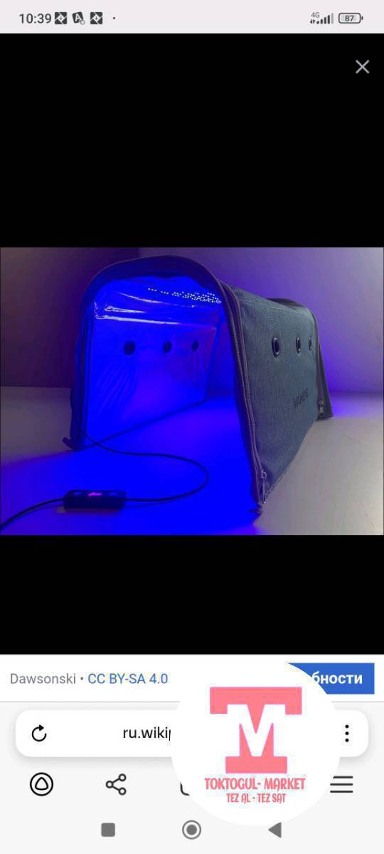 фото ломпа берилет от желтухага